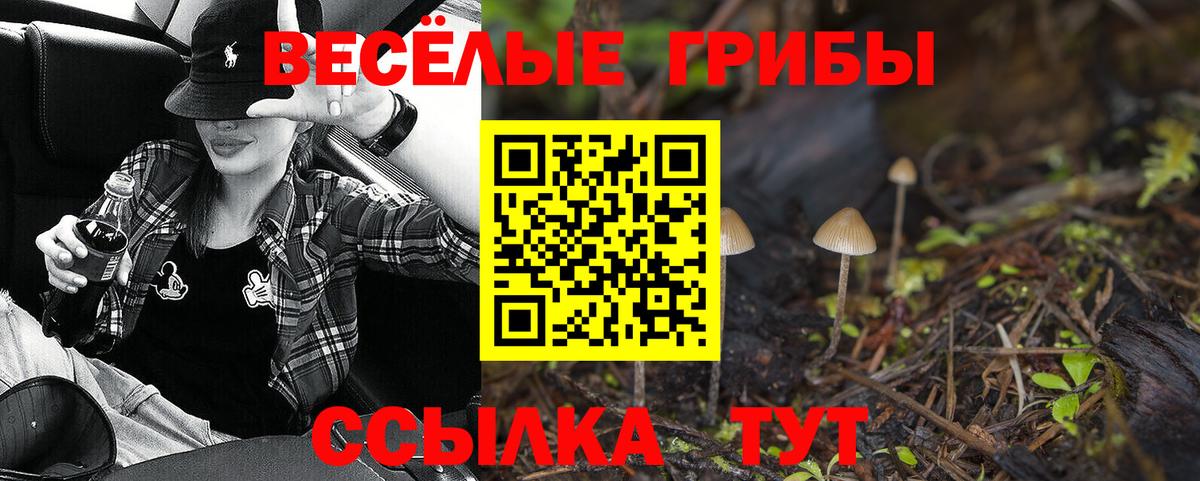 Кирово-Чепецк  Галлюциногенные грибы Magic Shrooms  Вход с VPN 