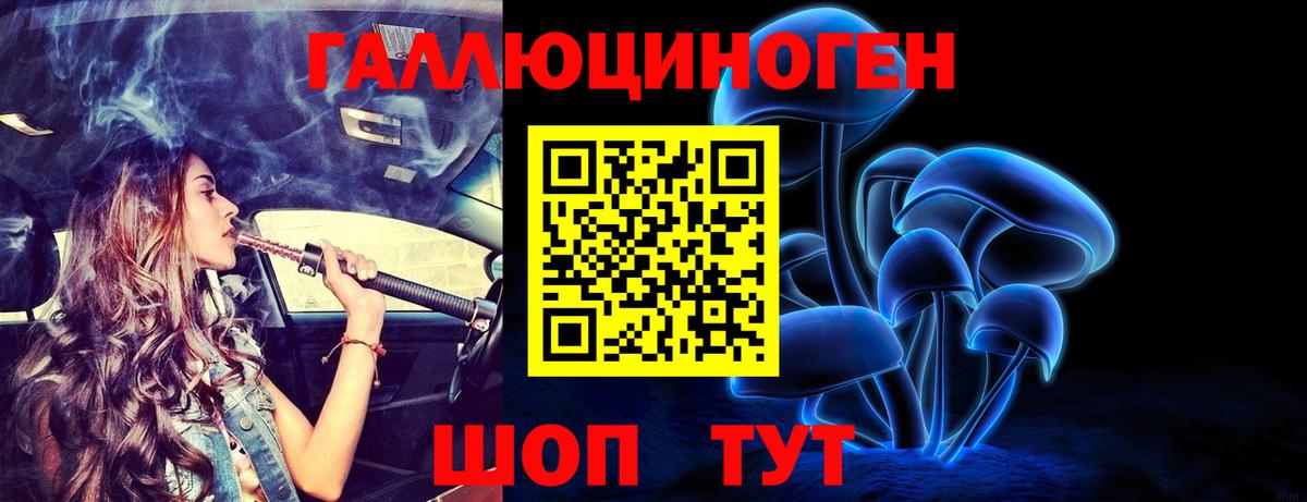 Галлюциногенные грибы Psilocybe Кирово-Чепецк